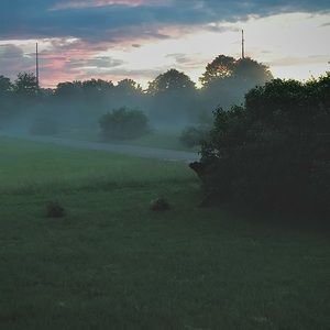 Meet your Posher, Abigail